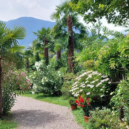 Nora S Home 1 - Panoramic Terrace & Bio Garden Merano Exterior photo