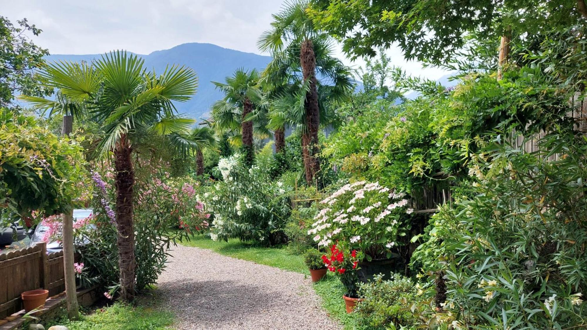 Nora S Home 1 - Panoramic Terrace & Bio Garden Merano Exterior photo