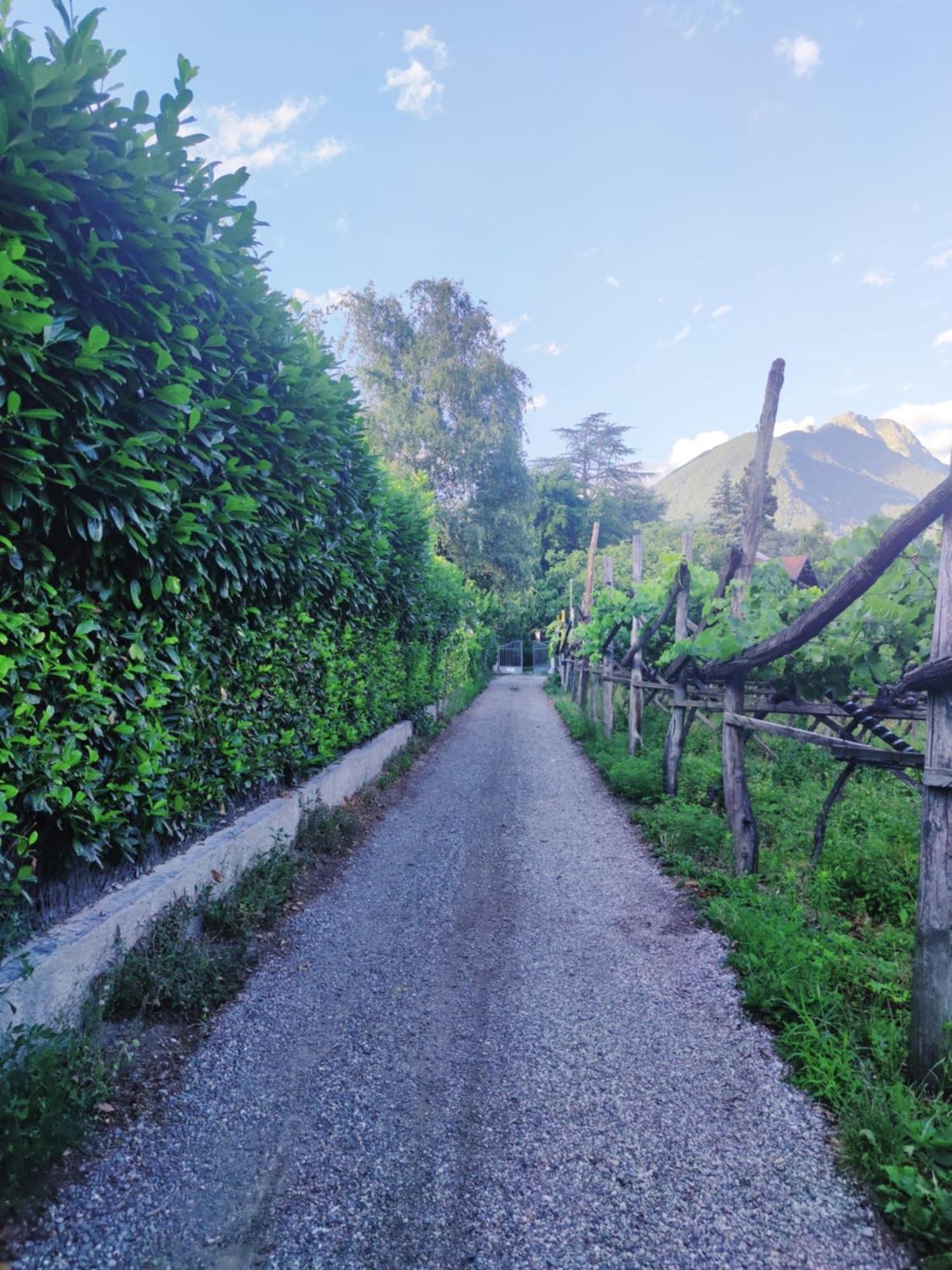 Nora S Home 1 - Panoramic Terrace & Bio Garden Merano Exterior photo